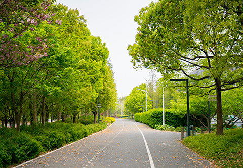 pp电子·模拟器(试玩游戏)官方网站